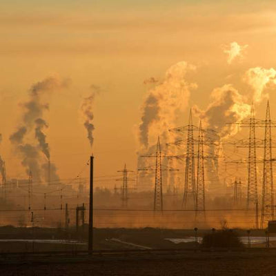 How to Detox from Air Pollution