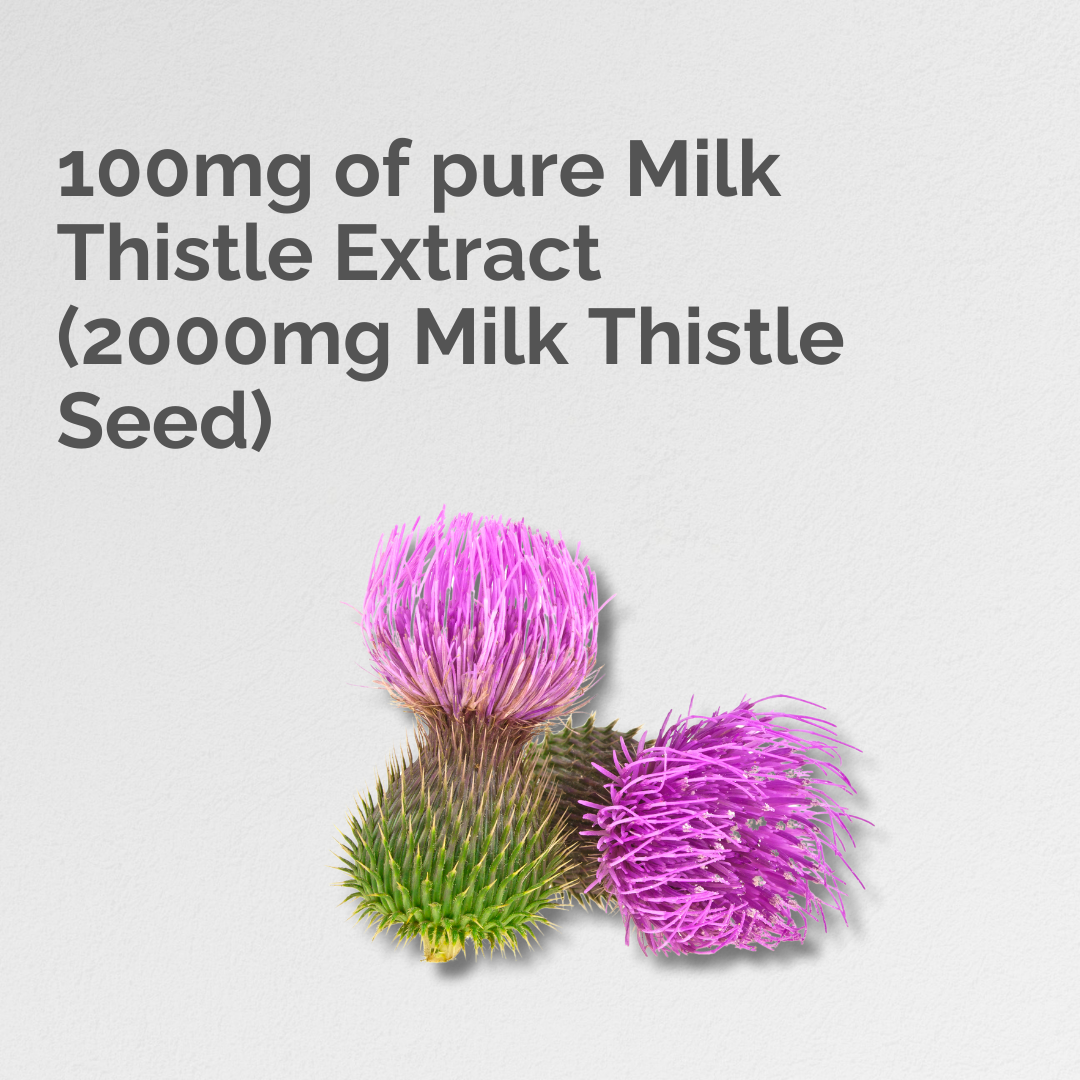 Milk Thistle