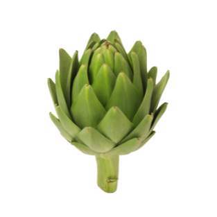 Artichoke