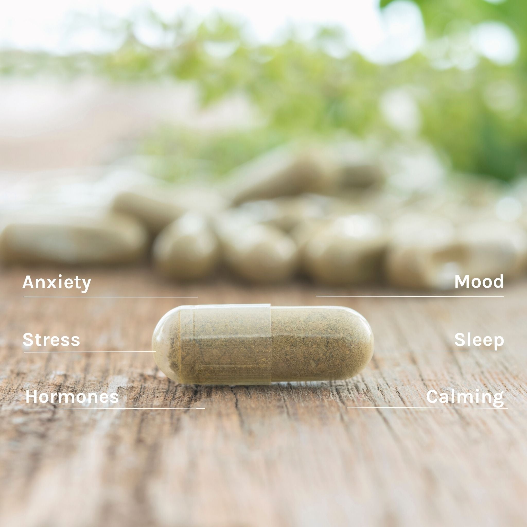 calm-bundle-ashwagandha-capsule
