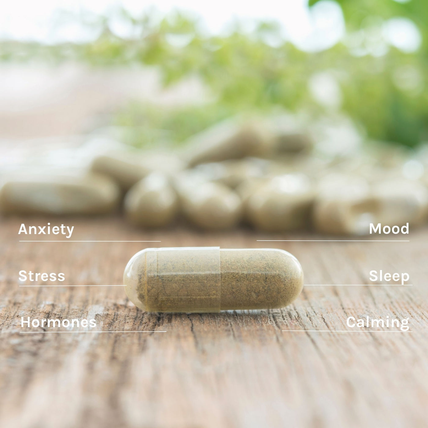 calm-bundle-ashwagandha-capsule